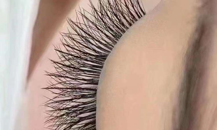 美睫就业班全科培训